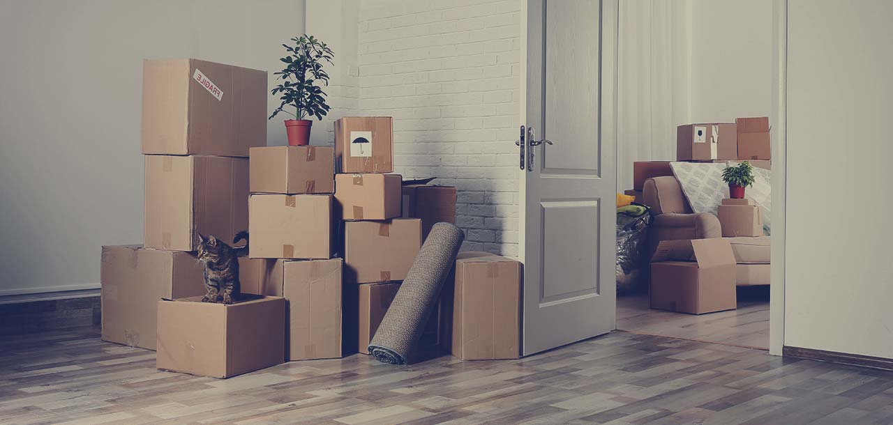 Packers and Movers in Himayat Nagar