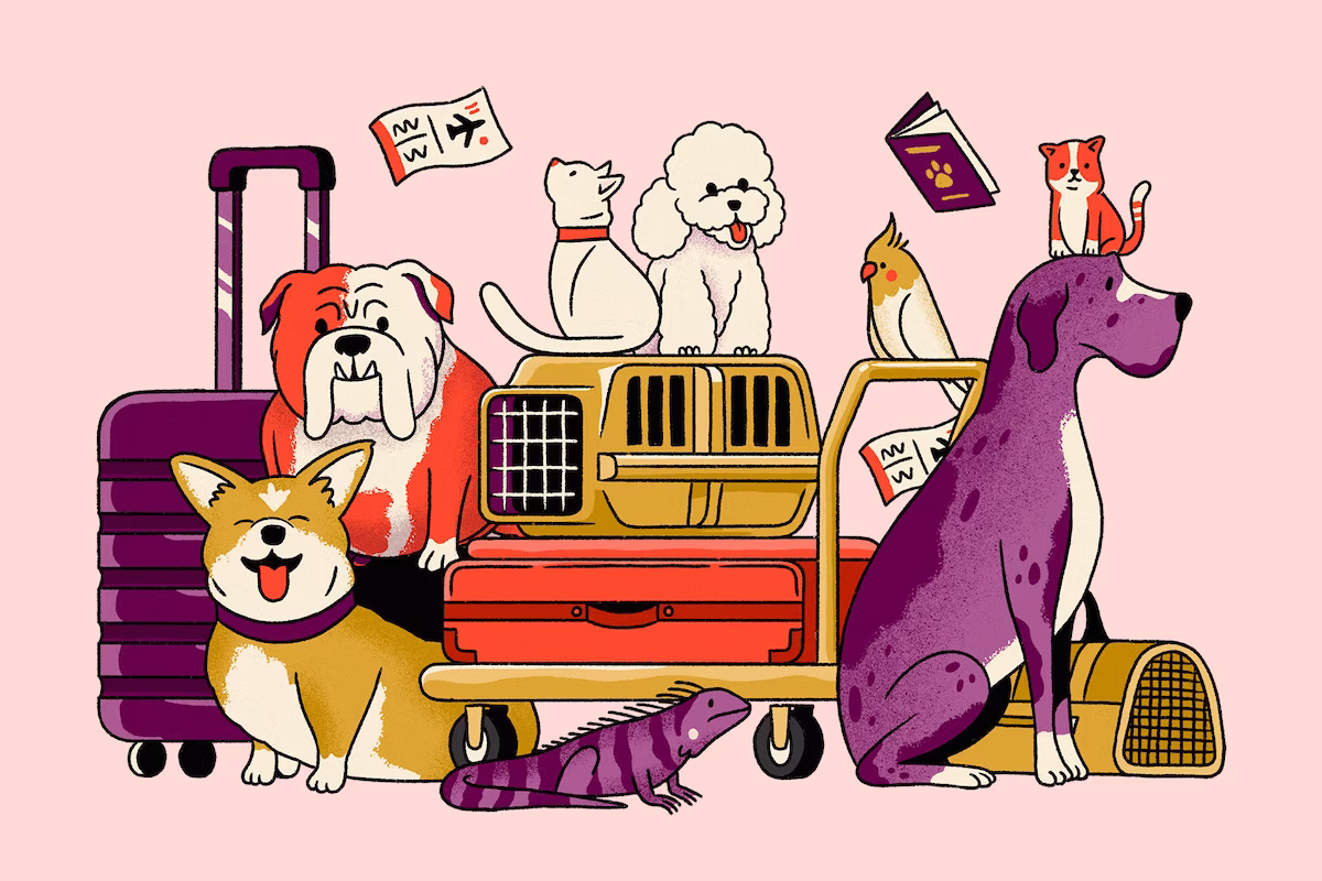 Pet Transportation Pet Transportation